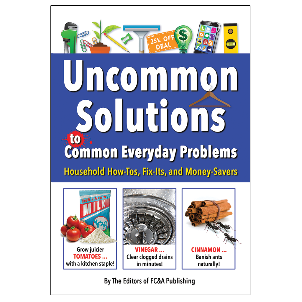 Some Common Solution Uncommon Solutions to Common Everyday Problems – FC&A Store